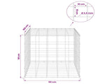 Gabion with 3.5 mm Wire and 10x10 cm Mesh 50x100x50 cm 3463363