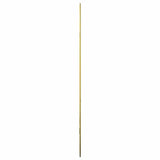 Wall Mirror Gold 70x45 cm 348219