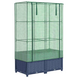 Raised Bed with Greenhouse Cover Rattan Look 80x40x138 cm 4015828