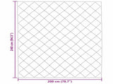 Winter Duvet 200 x 240 cm 450 gsm Microfiber 42025648