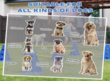 Dog Agility Equipment Set of Eight Cones 73892125