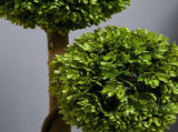 Artificial Plant 24759936