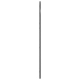 Wall Mirror Black 60x110 cm Arch Iron 3200606