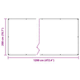 Plant Cover Transparent 2 x 12 m PVC 3429347