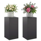 Plant Stand 2 pcs Black 30 x 30 x 60 cm Steel 8012475