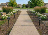Outdoor Solar Lights with Ground Spike 24 pcs Warm White 42 cm 42042714