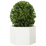 ZNTS Garden Planter White Hexagon 69x60x45 cm Steel 851123