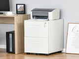Metal Mobile File Cabinet with Wheels, Lockable 2 Drawer Filing Cabinet for A4, Legal, Letter, T3398P342412