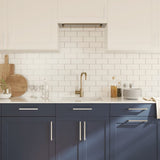 Cabinet Handles 20 pcs Silver 224 mm Stainless Steel 3203640