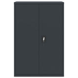 ZNTS File Cabinet Anthracite 90x40x180 cm Steel 3188331