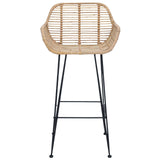Bar Chair 2 pcs 55 x 52 x 92 cm Rattan and Iron 42011552