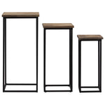 3 Piece Plant Table Set Reclaimed Teak 246088