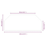Fireplace Glass Plate Hexagon 120x50 cm 324137
