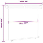 ZNTS Balcony Side Awning 165x250 cm Brown 48435