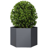 Garden Planter Anthracite Hexagon 69x60x45 cm Steel 851124