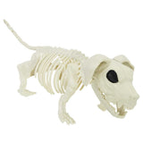 Halloween Decoration Skeleton 2 pcs White Polypropylene 42020050