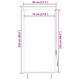 Outdoor Roller Blind 80x250 cm Anthracite 145952