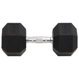Dumbbell 22.5 kg Cast Iron 93609