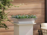 Garden Planter 5 pcs Silver 50 x 50 x 15 cm Stainless Steel 873833