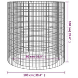 Gabion Fire Pit 100 cm Galvanised Iron 153561