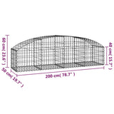Arched Gabion Basket 200x50x40/60 cm Galvanised Iron 153472