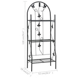 3-Layer Plant Rack Black 52x28x128 cm Iron 47097