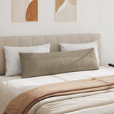 Sofa Pillows 2 pcs Taupe 145 x 40 cm Fabric 42013854