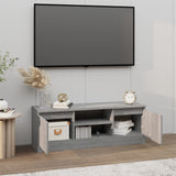 TV Cabinet with Door Grey Sonoma 102x30x36 cm 823356