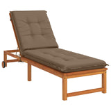 Sunlounger Cushion GEMERT 100% Polyester Taupe 190 x 50 x 9 cm 947342