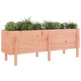 Garden Raised Bed 160x50x57 cm Solid Wood Douglas 825224