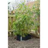 ZNTS Nature Root Barrier Sheet 0.7 x 5 m HDPE Black 6030227 403653