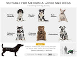 Foldable Pet Stroller with Washable Cushion, Storage Bags, Safety Leash for Medium and Large Dogs T3398P349606