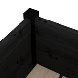 Garden Planters 2 pcs Black 70x70x70 cm Solid Pinewood 810818