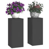 Plant Stand 2 pcs Black 24 x 24 x 55 cm Steel 865813