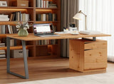 Computer Desk, Writing Desk with Cabinet, Drawer, Metal Legs, Work Table for Home Office Study, T3398P423539