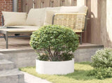Planter Ring 5 pcs White 40 x 40 x 20 cm Cold-rolled Steel 873609