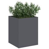 Garden Planter Anthracite 32 x 32 x 40 cm Cold-rolled Steel 876345
