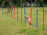 Dog Agility Training Equipment 10773071