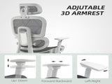 Multi-Adjustable Mesh Office Chair - Grey and White T3398P424985