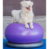 ZNTS FitPAWS Pet Balance Ball TRAX Donut 55 cm Purple 428432