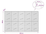 Gabion with 3.5 mm Wire and 10x10 cm Mesh 250x10x200 cm 3463055
