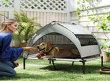 Dog House 17753373