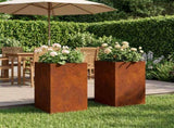 Garden Planter 2 pcs Rusty 40 x 40 x 50 cm Weathering Steel 8005371