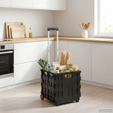 Cart Manual Black and Red 35 x 39 x 92 cm PP and Elastomer 42033393