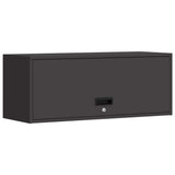 Wall Cabinet for Garage with Gas-lift Door Black 883272