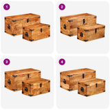 Storage Chest Set 2 Pieces Rough Mango Wood 241634