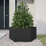 ZNTS Garden Planter Black Hexagon 104x90x45 cm Steel 851129