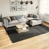 Rug ISTAN High Pile Shiny Look Anthracite 200x280 cm 375643