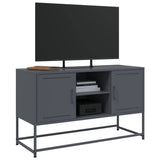 TV Cabinet Anthracite 100.5x39x60.5 cm Steel 846514