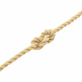 Boat Rope 500 m 0.6 Natural PP 42029669